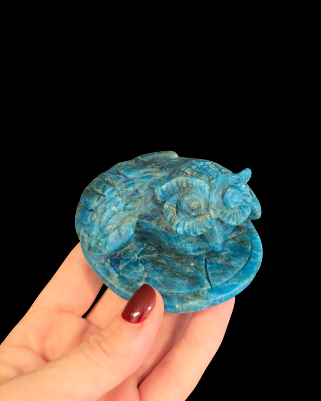 Owl - Blue Apatite