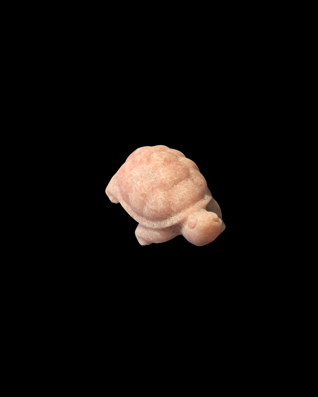 Turtle - Pink Opal