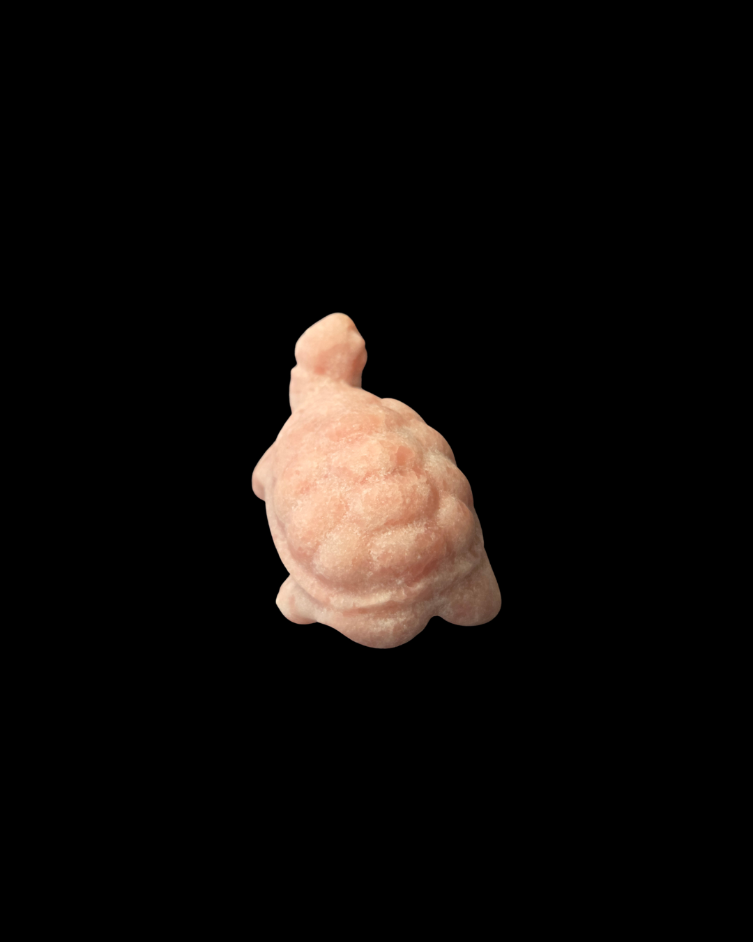 Turtle - Pink Opal