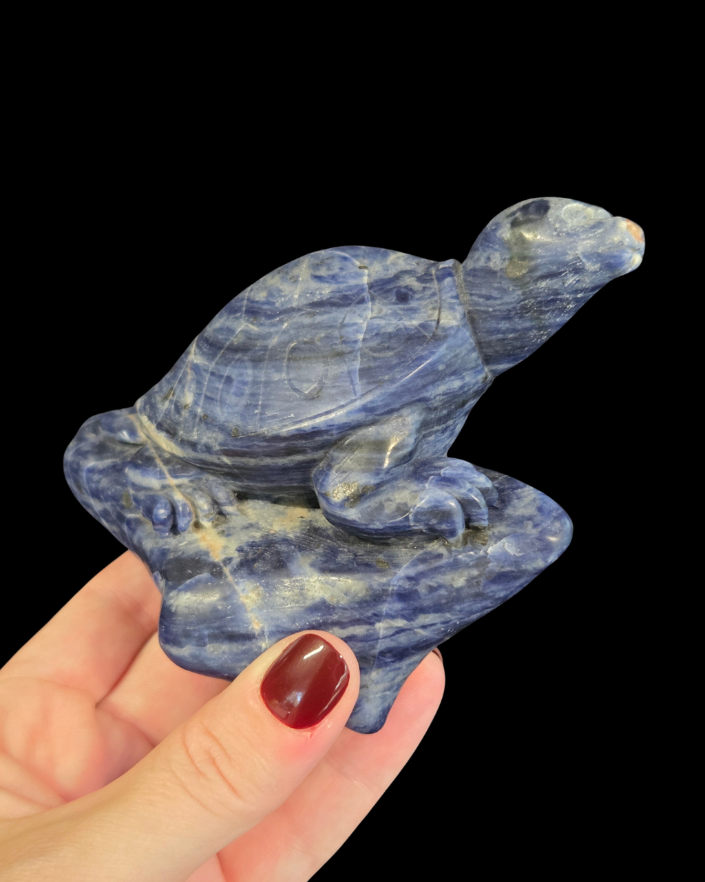 Turtle - Sodalite