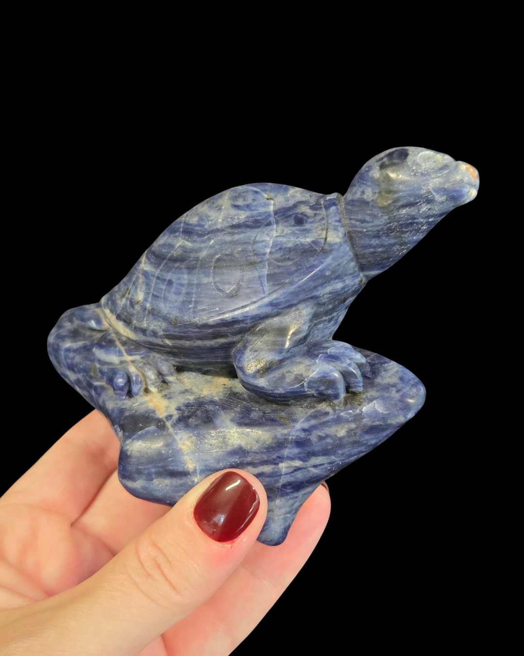 Turtle - Sodalite