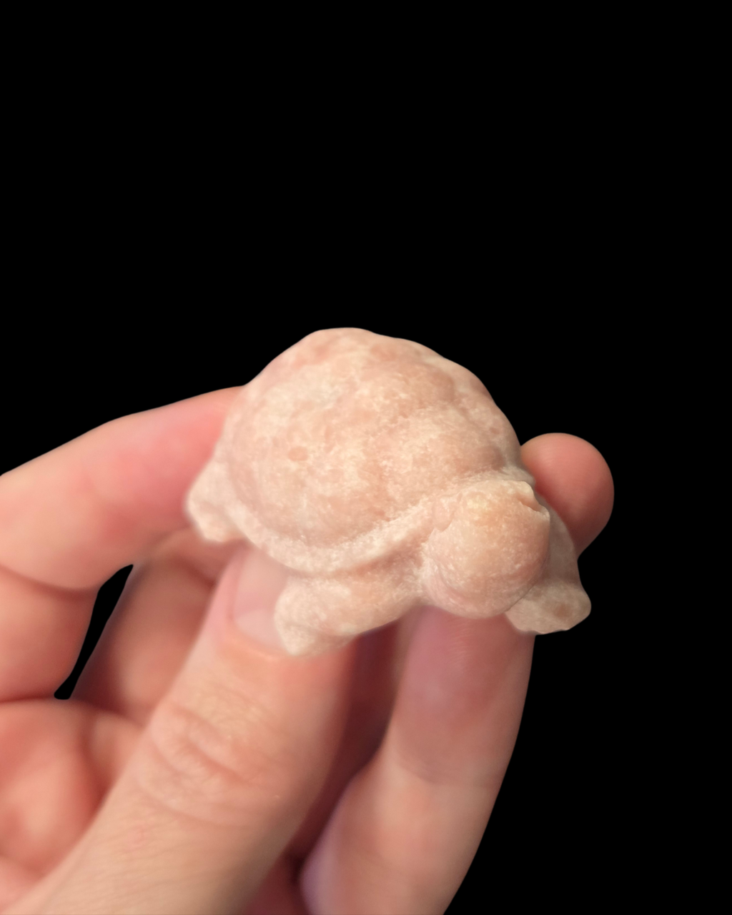Turtle - Pink Opal