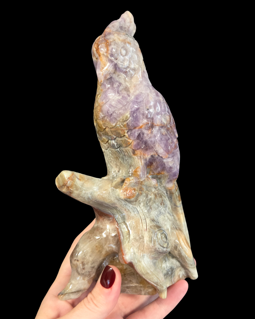 Parrot - Mexican Amethyst Agate