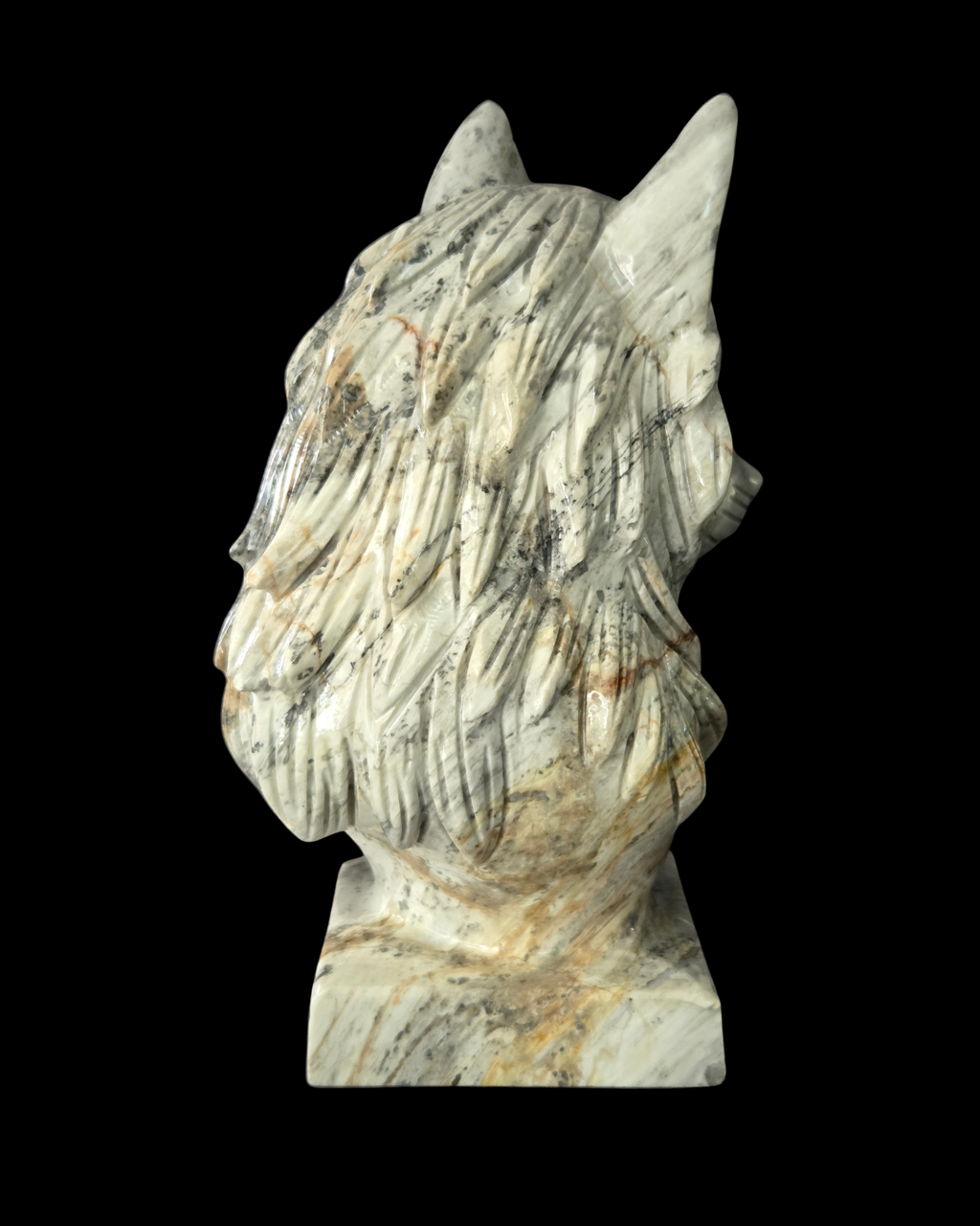 Wolf's Head - Picasso Jasper