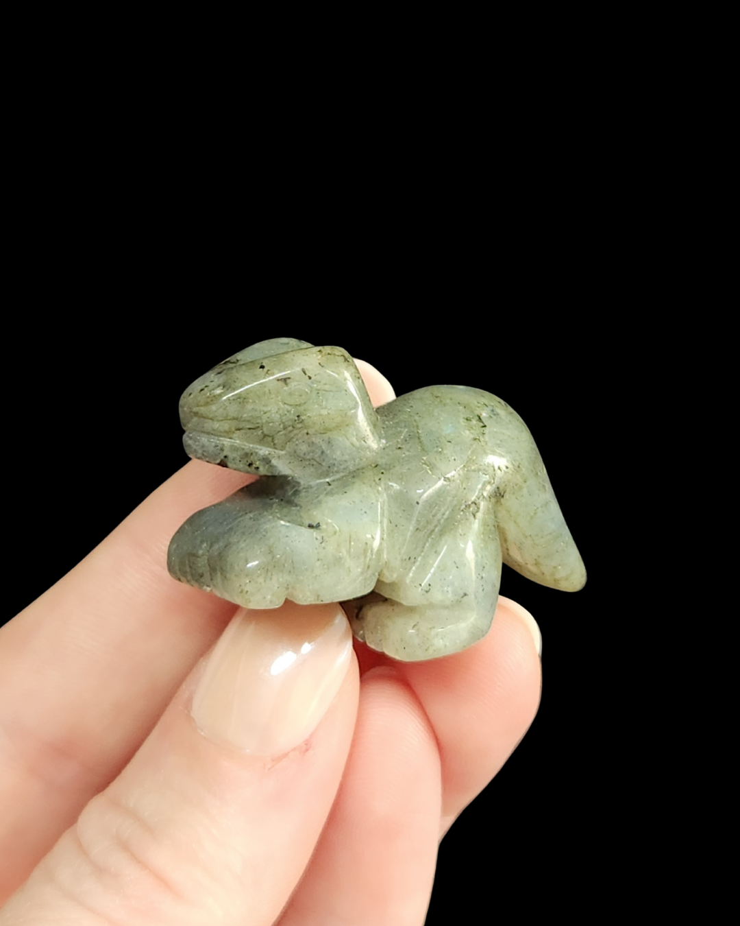 Dinosaur - Labradorite