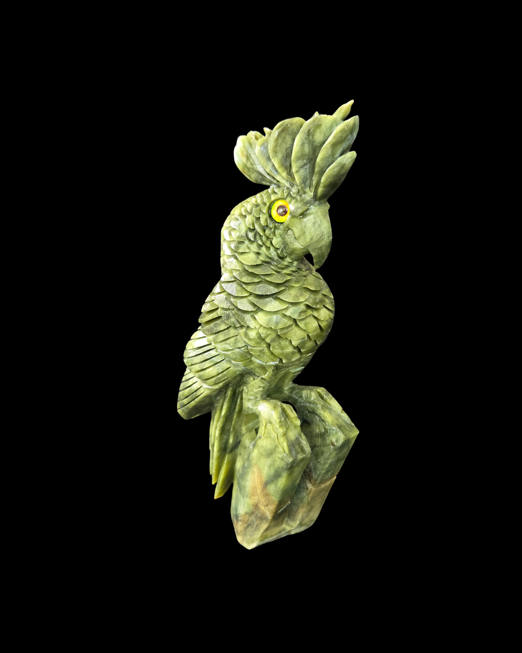 Parrot - Green Jade