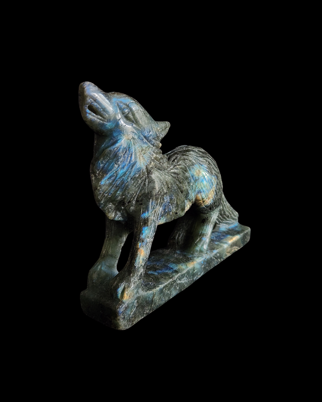 Wolf - Labradorite
