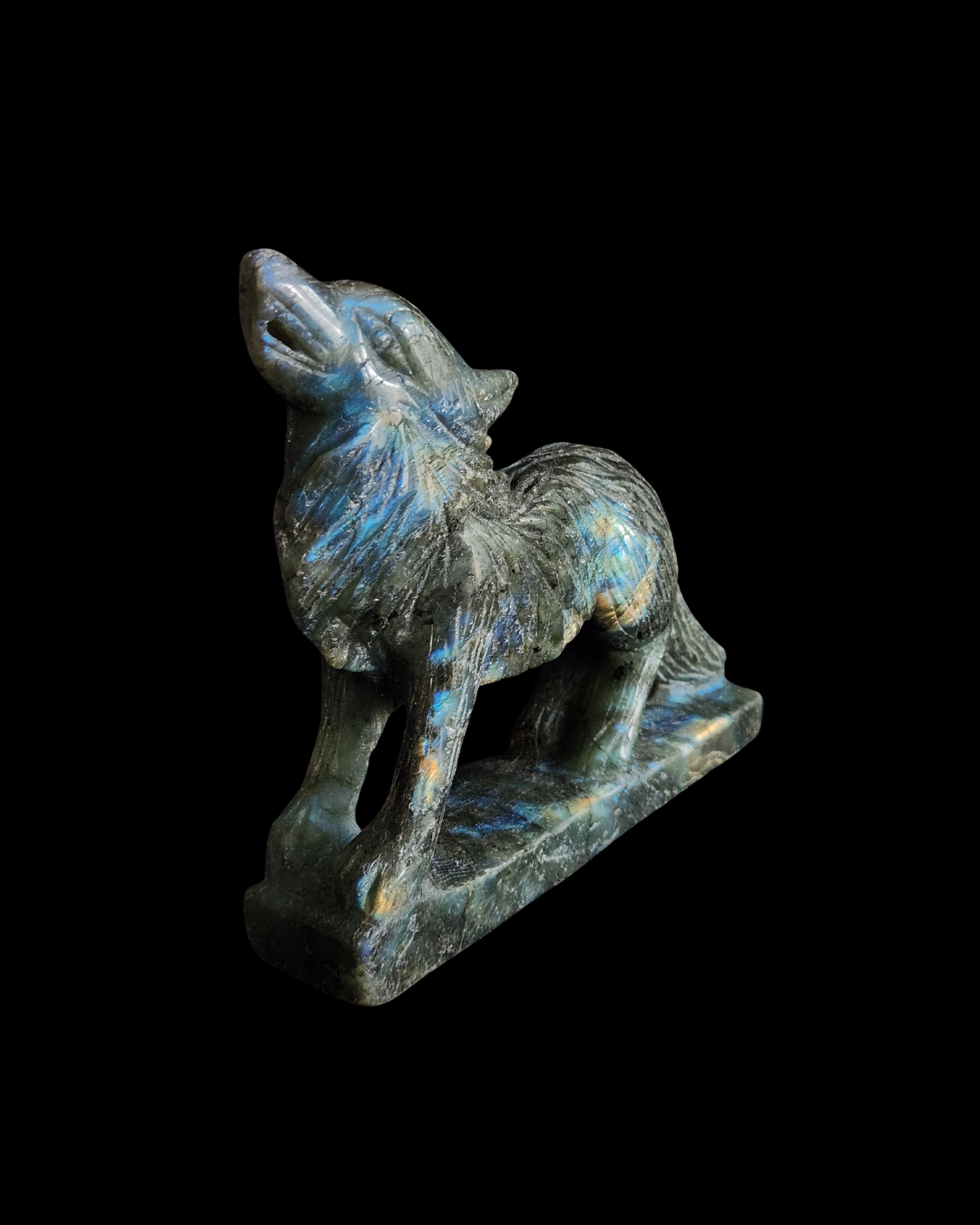 Wolf - Labradorite