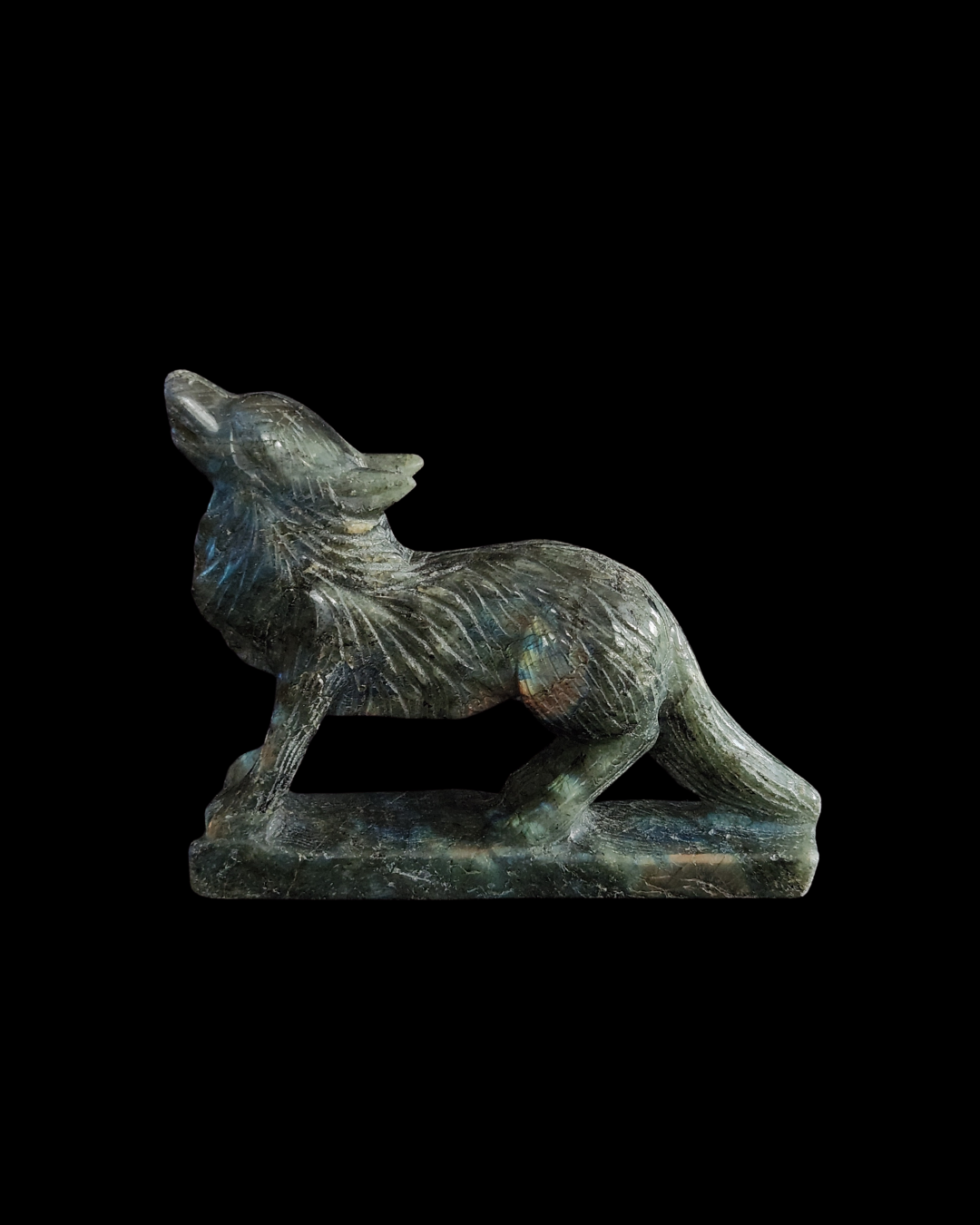 Wolf - Labradorite