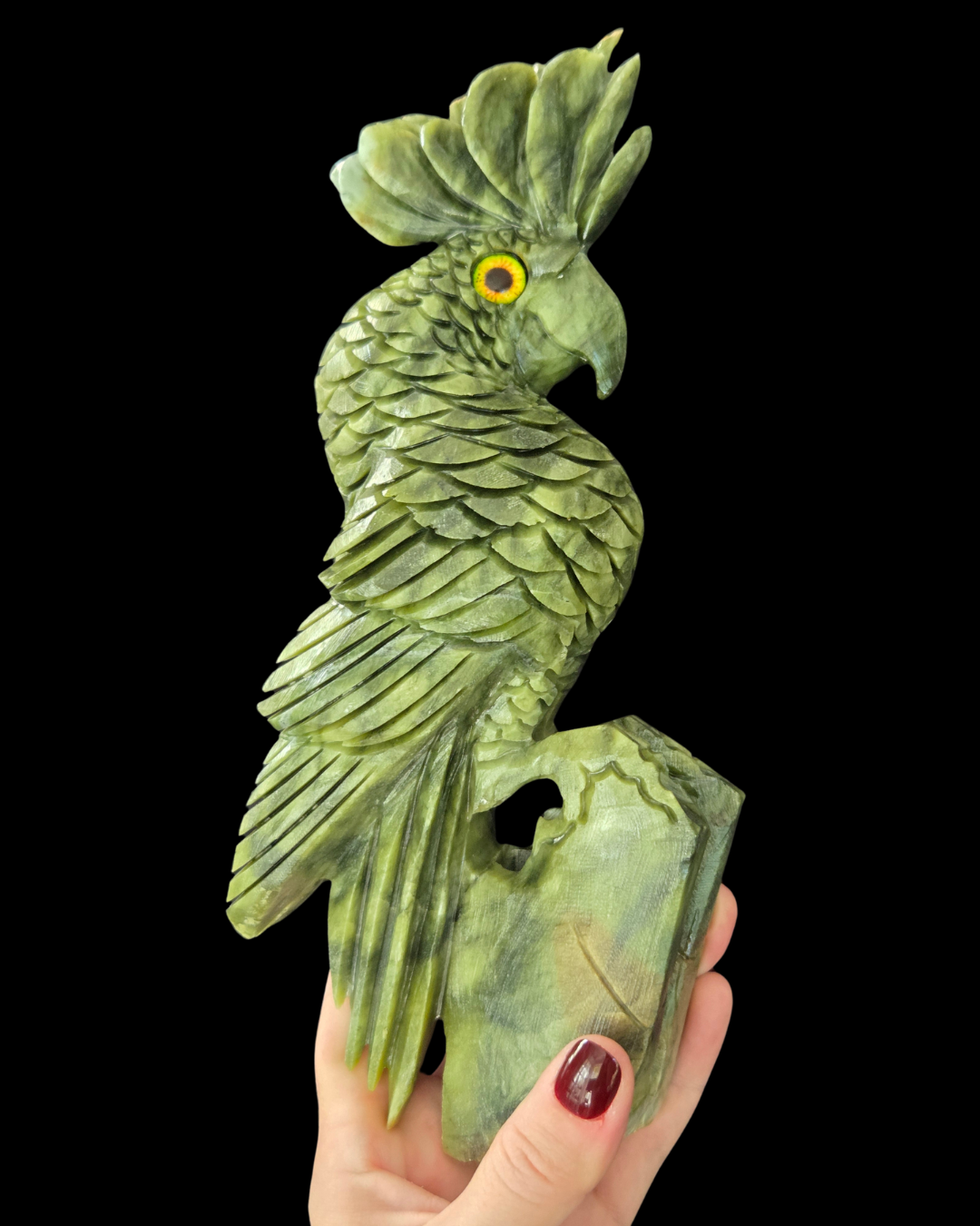 Parrot - Green Jade