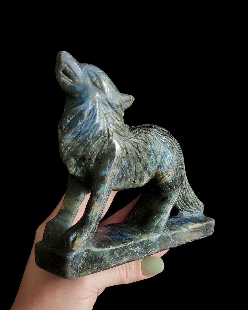Wolf - Labradorite