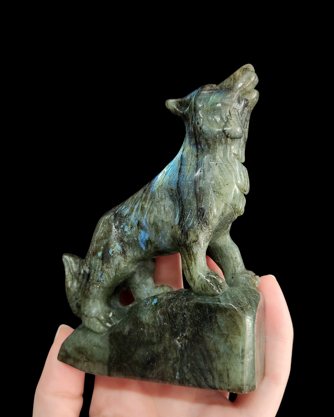 Wolf - Labradorite