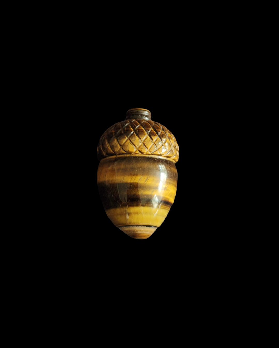 Acorn - Tigers Eye