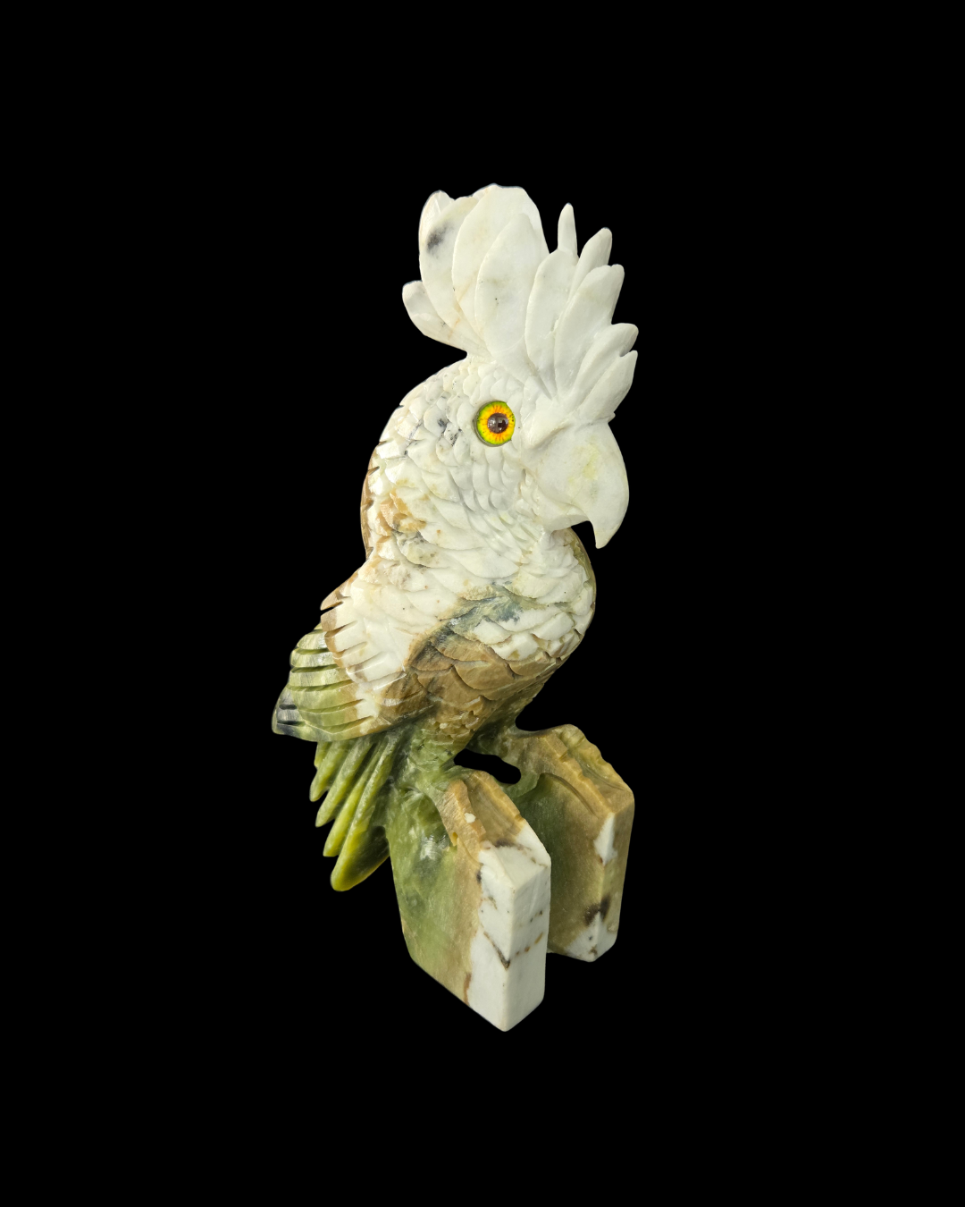 Parrot - Green & White Jade