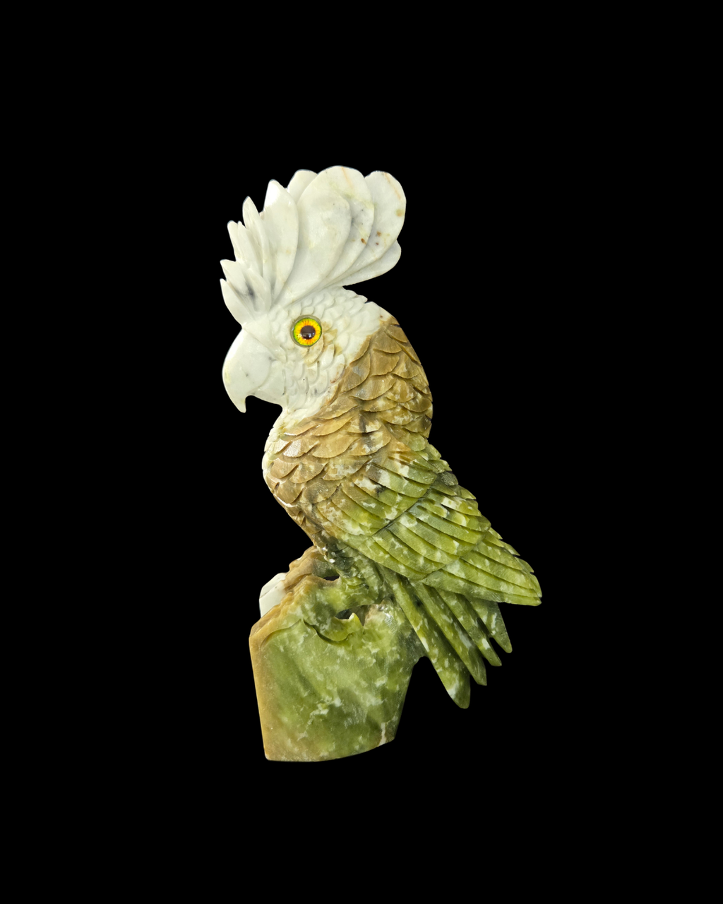 Parrot - Green & White Jade