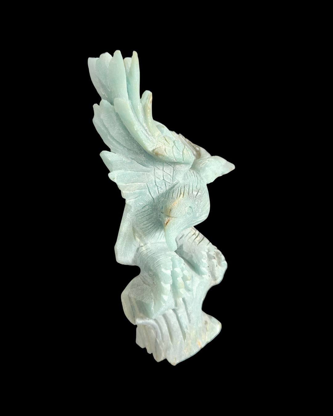 Eagle - Amazonite