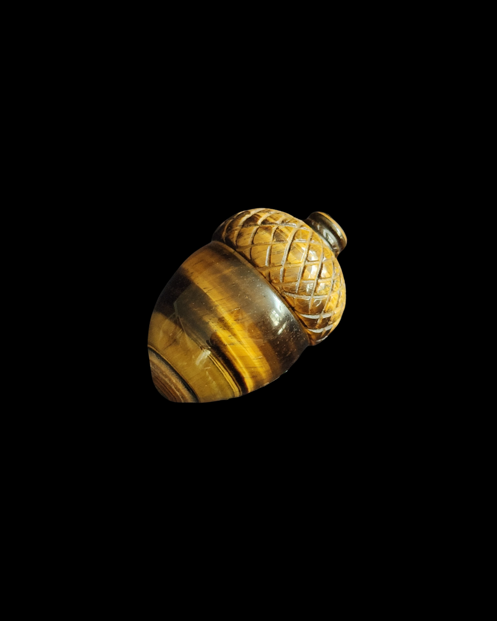Acorn - Tigers Eye