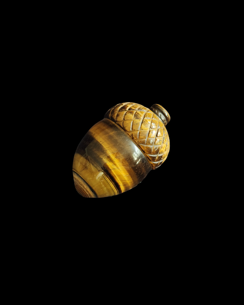 Acorn - Tigers Eye