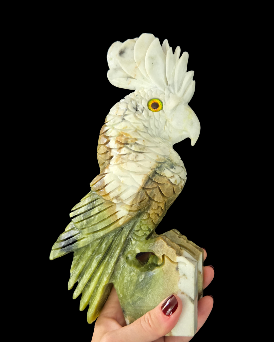 Parrot - Green & White Jade