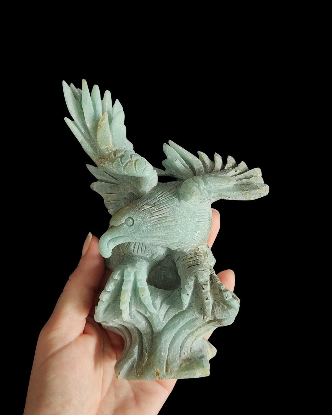 Eagle - Amazonite