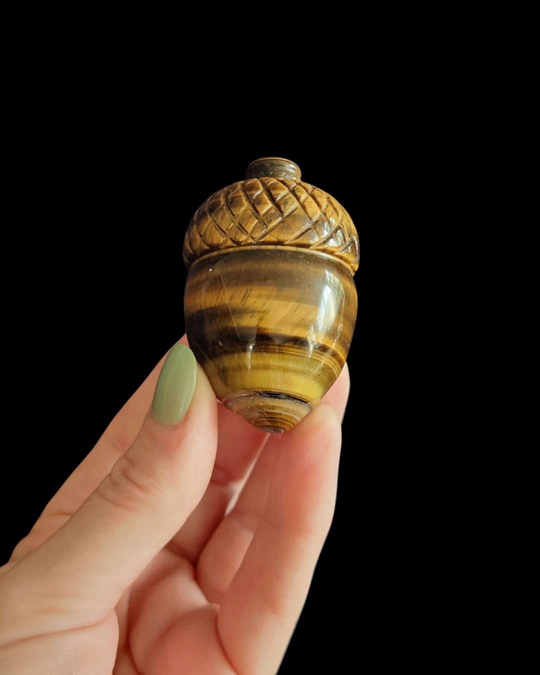Acorn - Tigers Eye