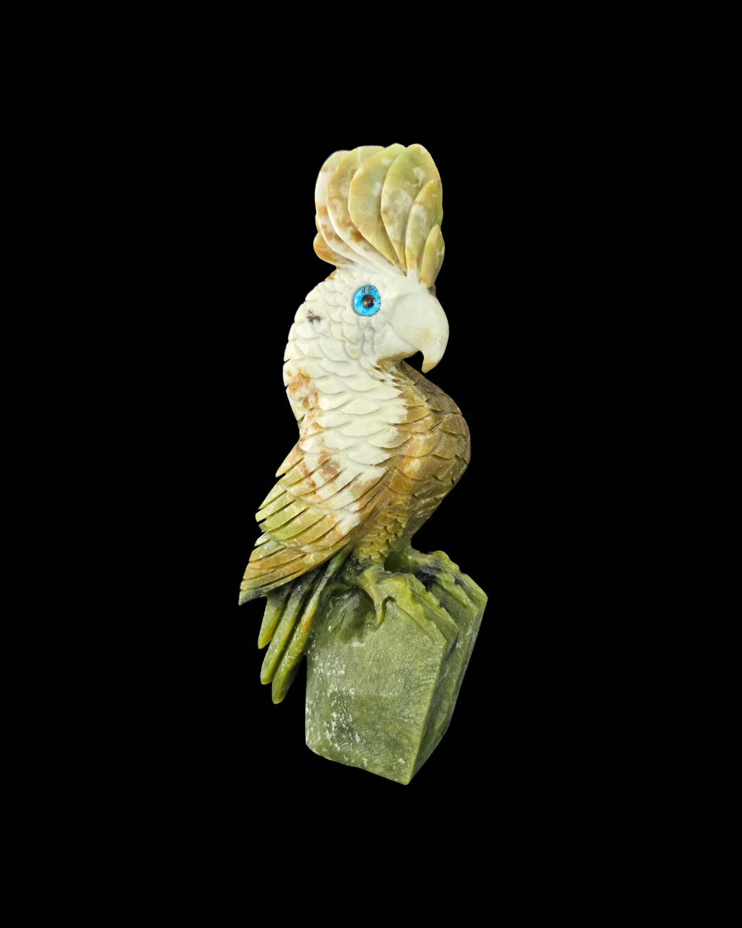 Parrot - Green & White Jade
