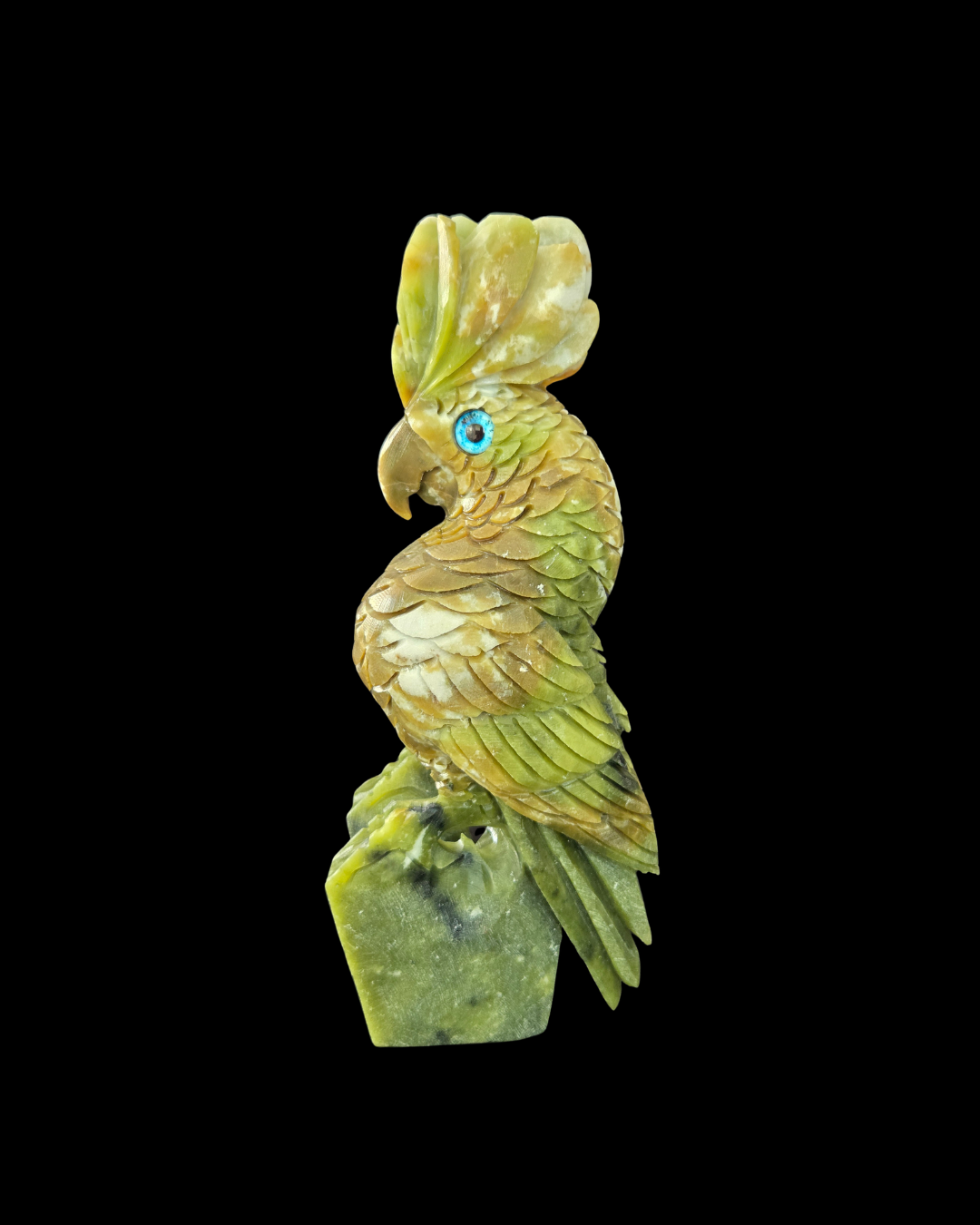 Parrot - Green & White Jade