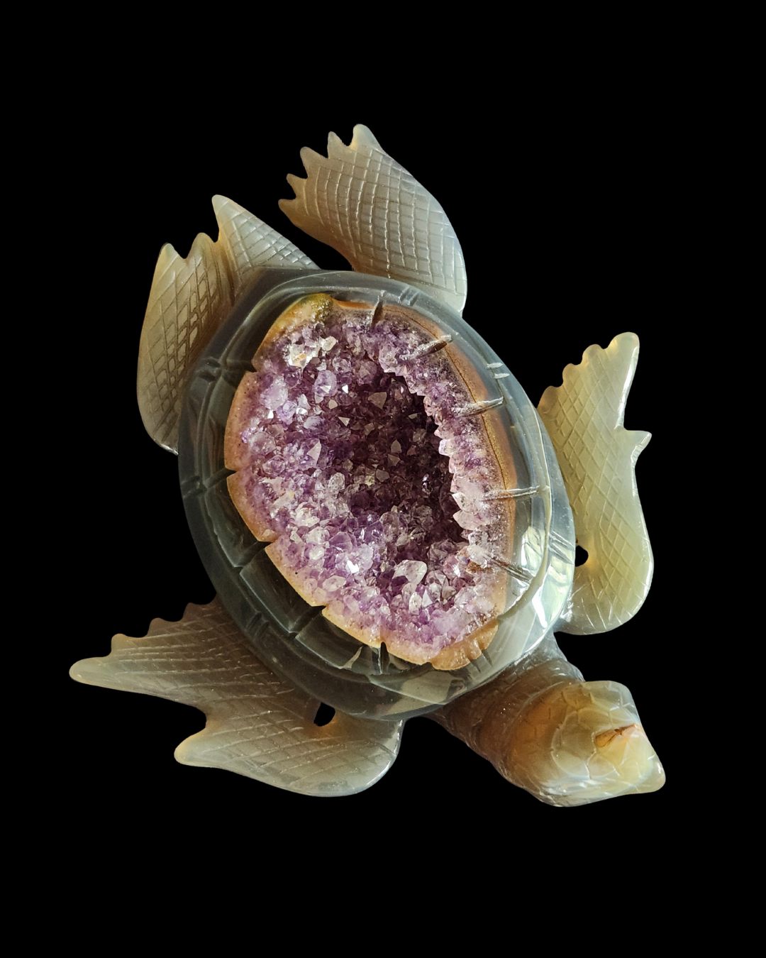 Turtle - Amethyst Agate Geode