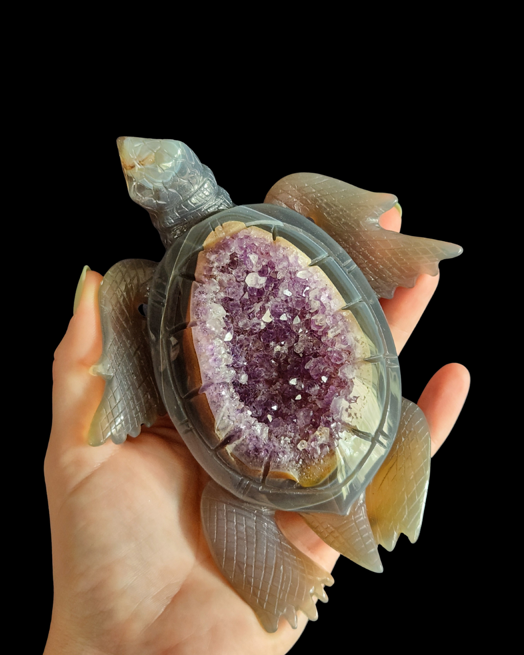 Turtle - Amethyst Agate Geode