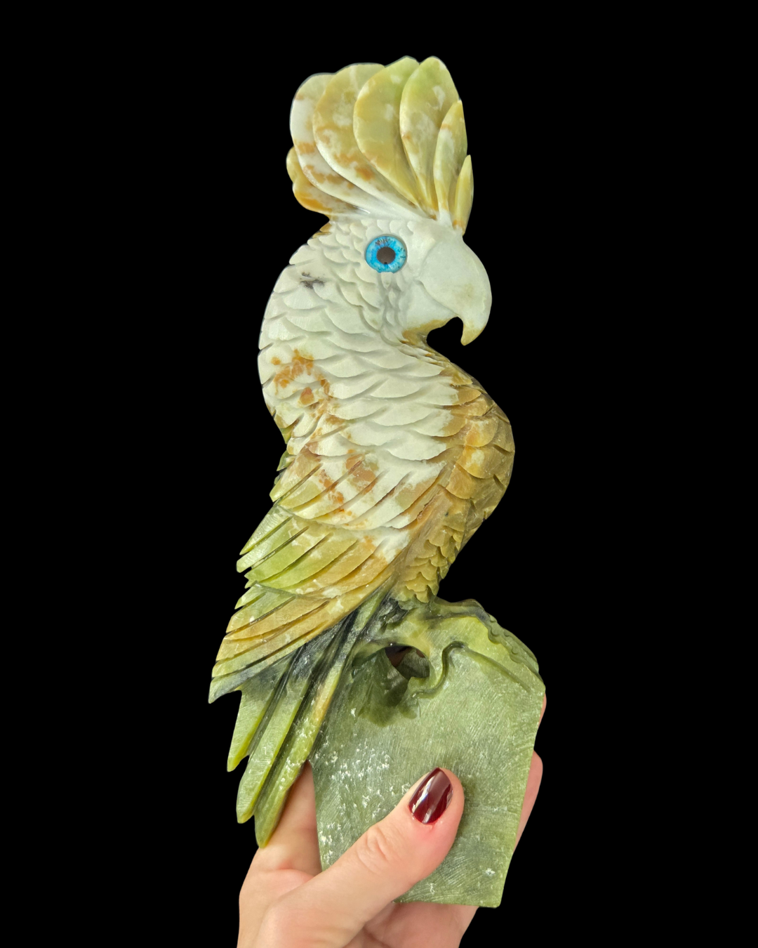 Parrot - Green & White Jade