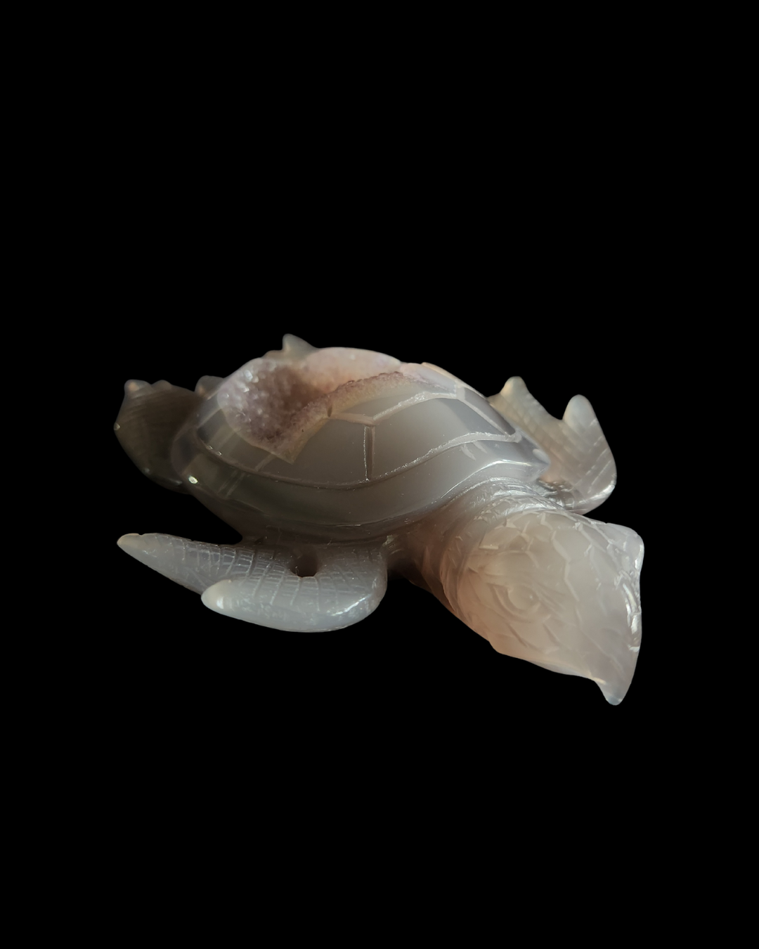 Turtle - Amethyst Agate Geode