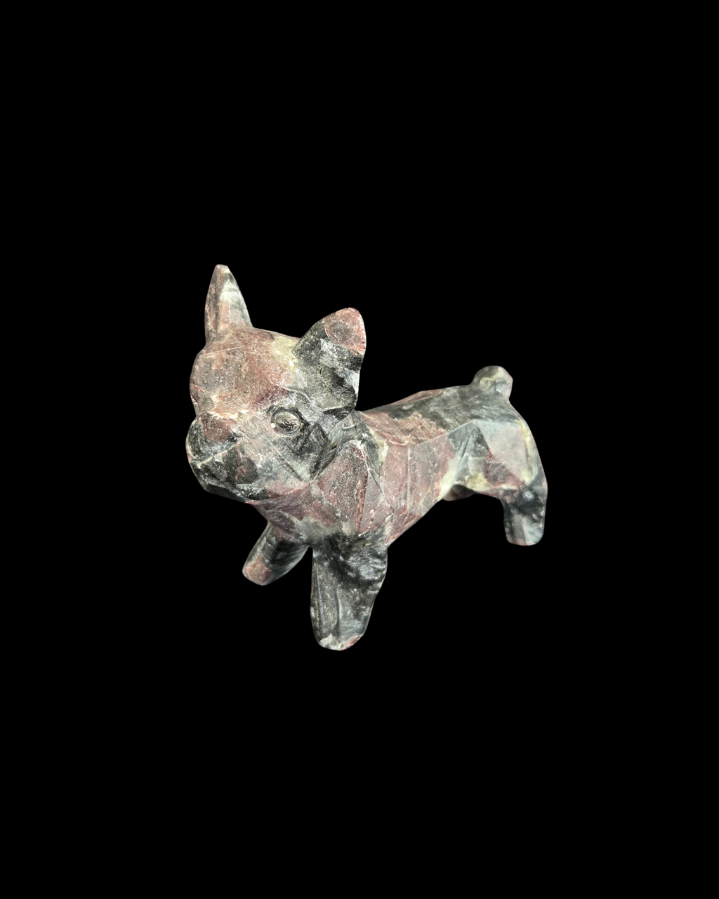 French Bulldog - Garnet