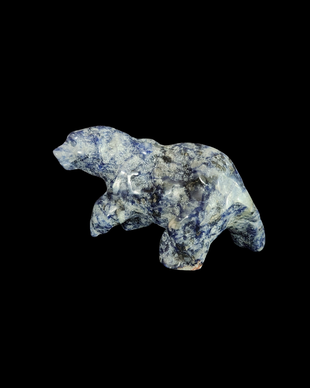 Bear - Sodalite