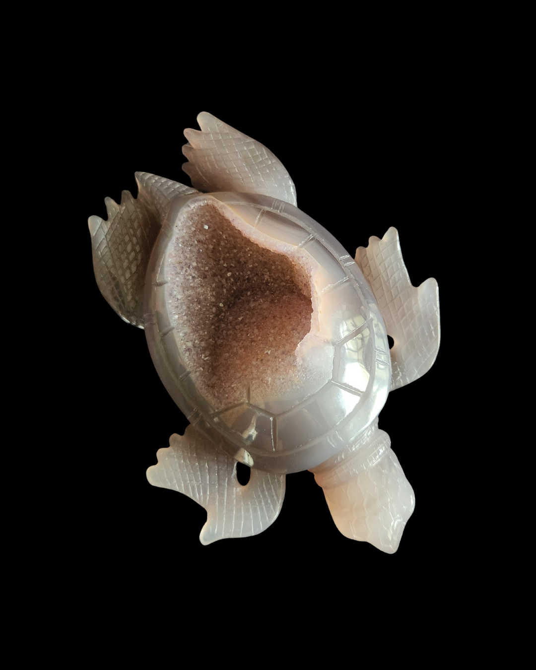 Turtle - Amethyst Agate Geode