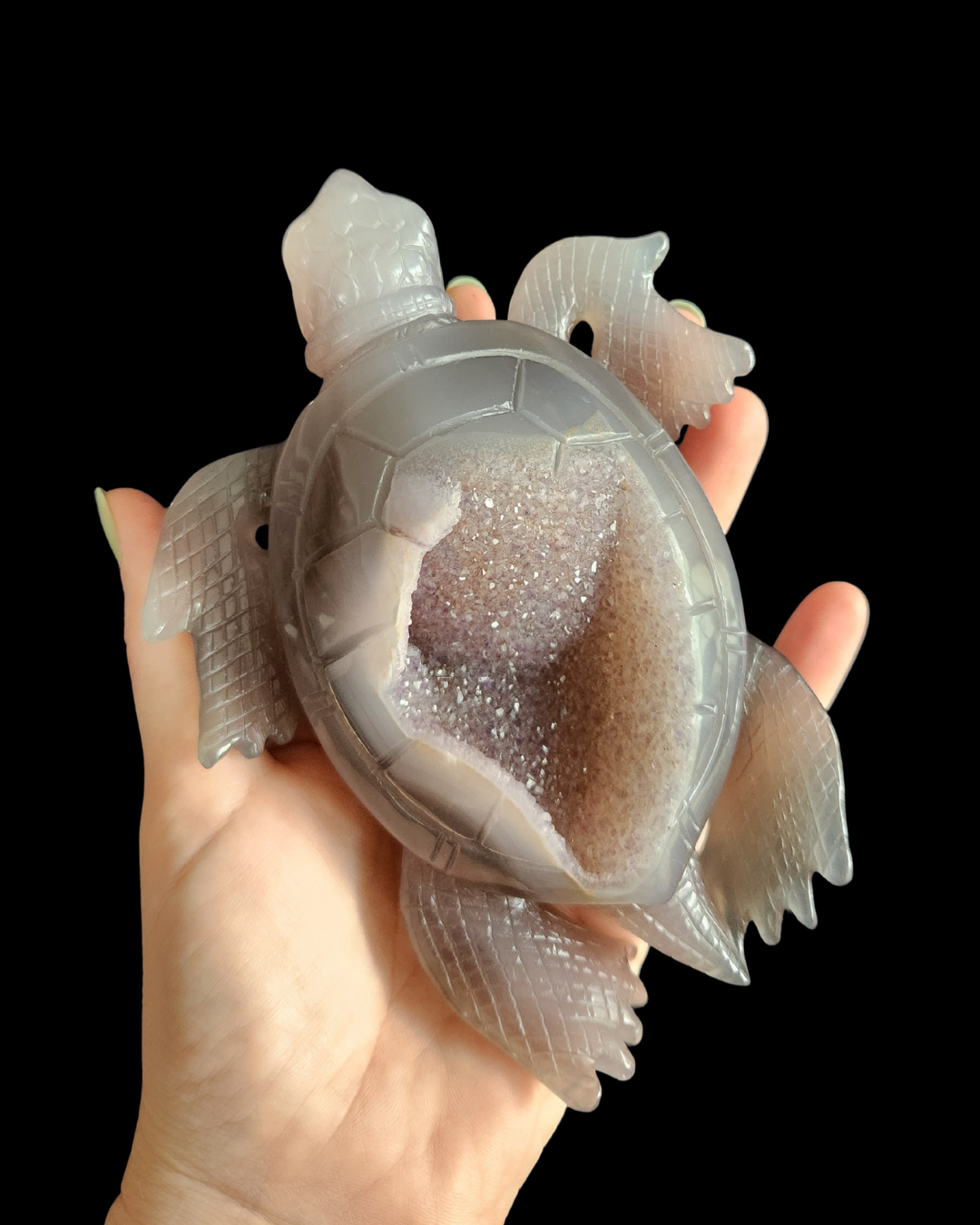 Turtle - Amethyst Agate Geode