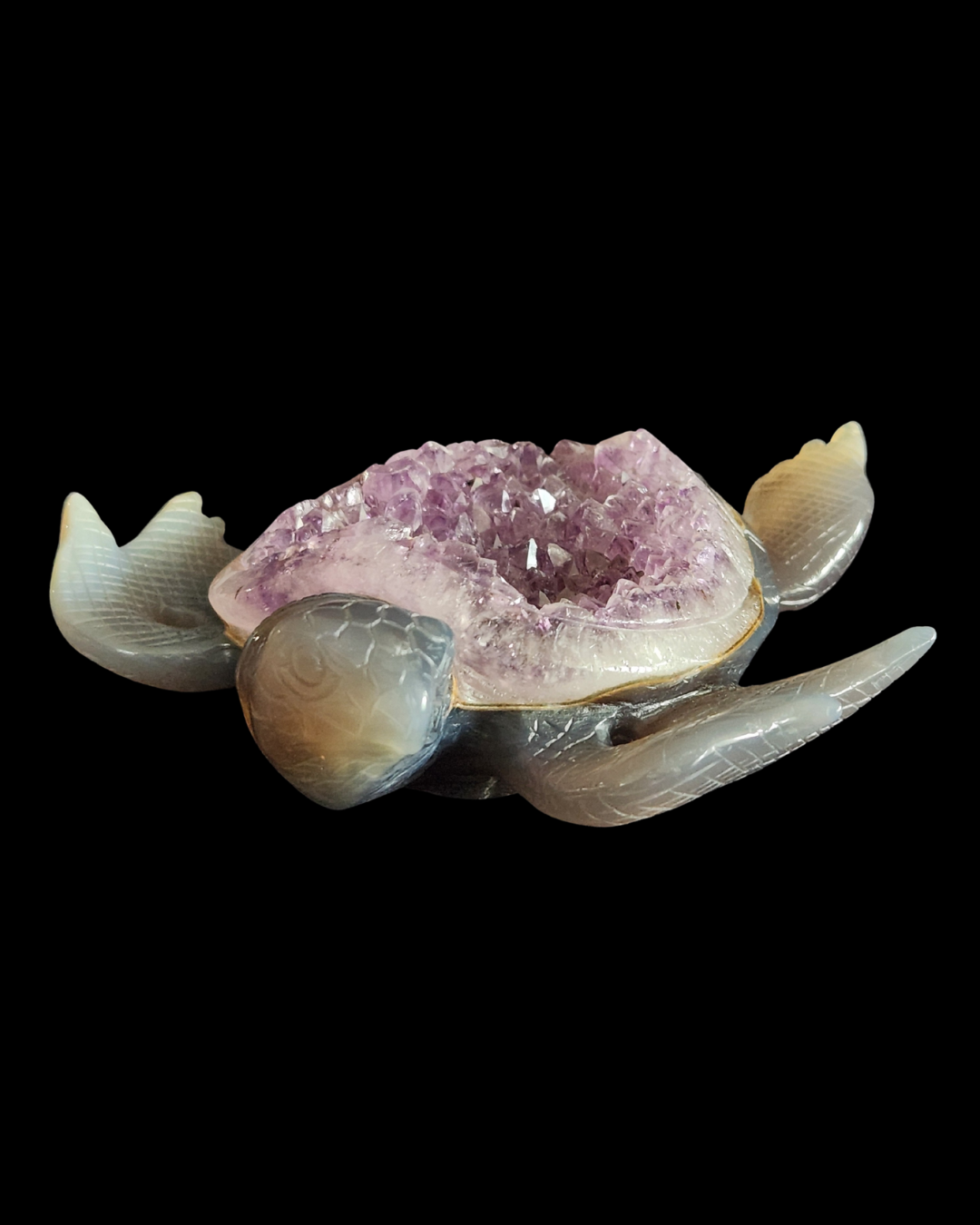 Turtle - Amethyst Agate Geode