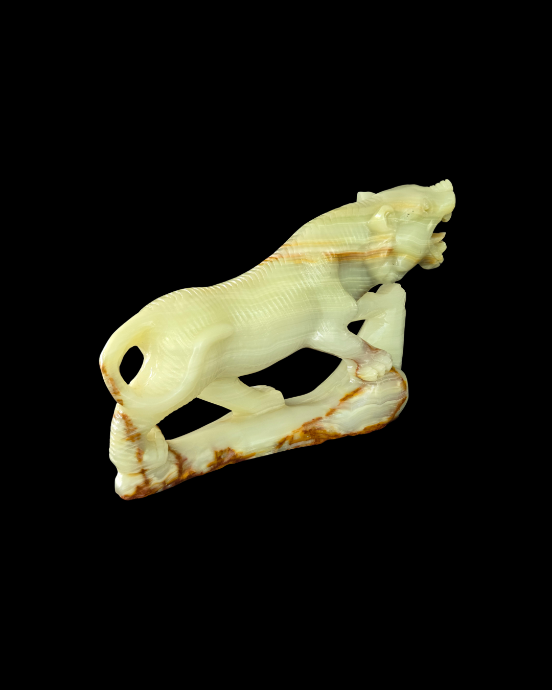 Tiger - Buddstone