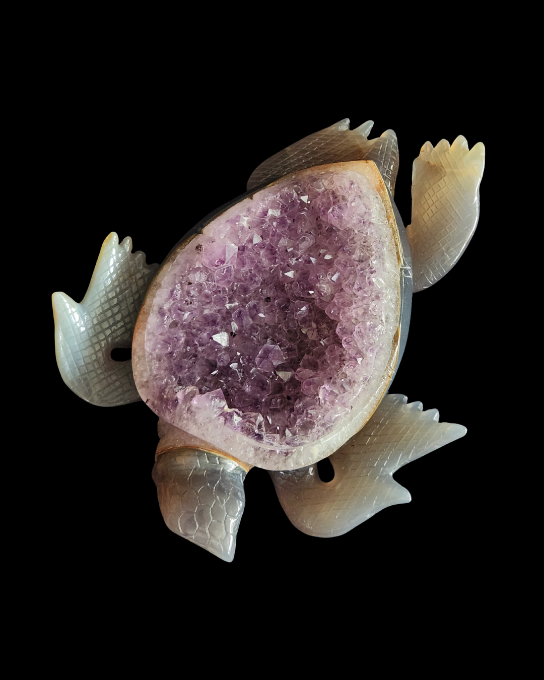 Turtle - Amethyst Agate Geode