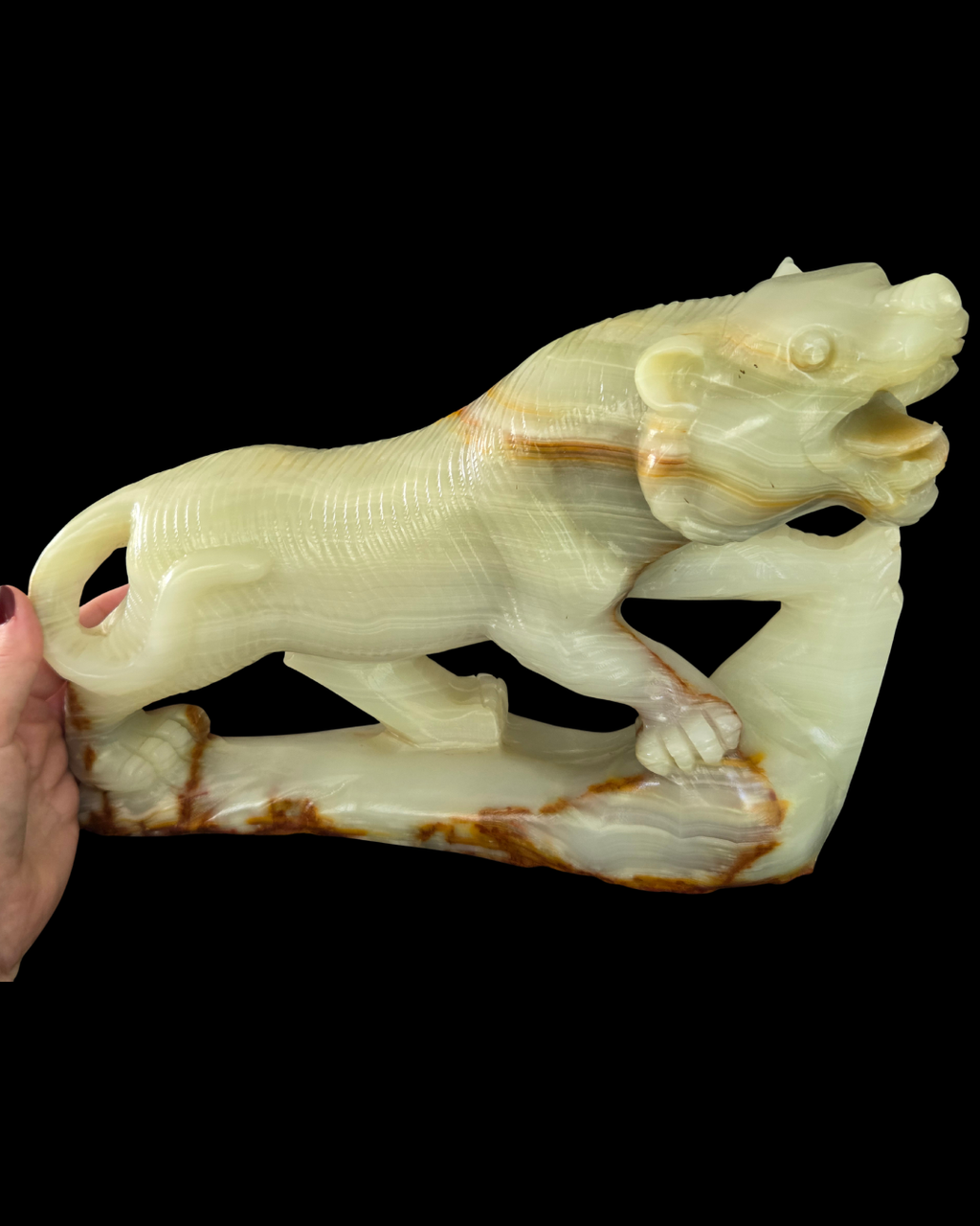 Tiger - Buddstone