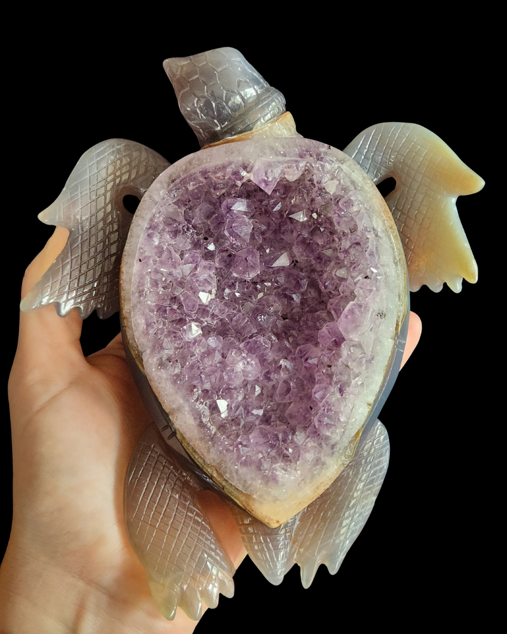 Turtle - Amethyst Agate Geode