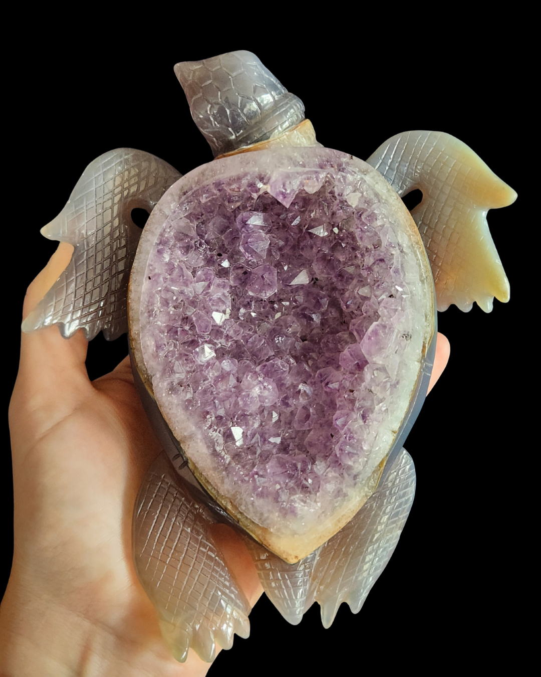 Turtle - Amethyst Agate Geode