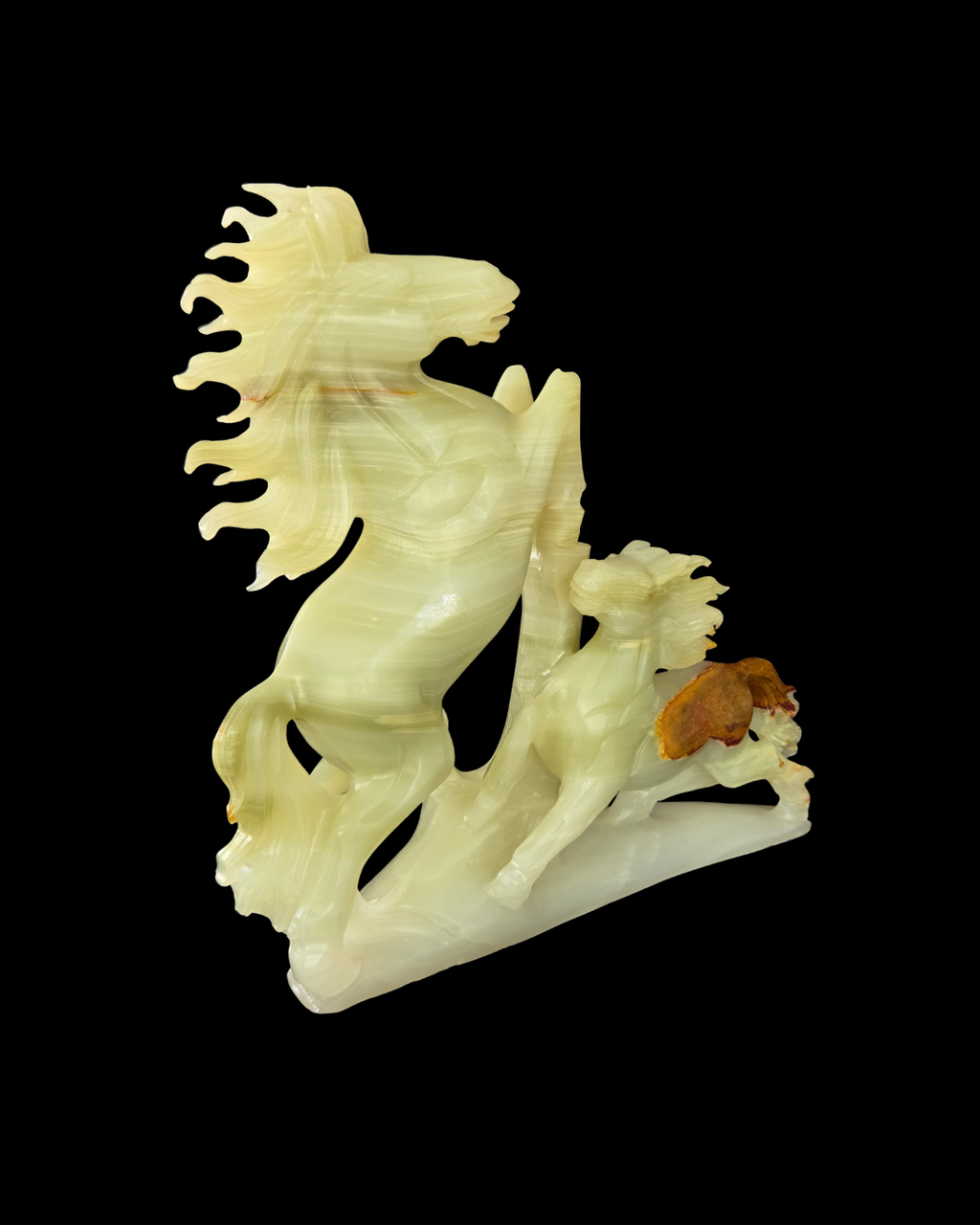 Horse - Buddstone
