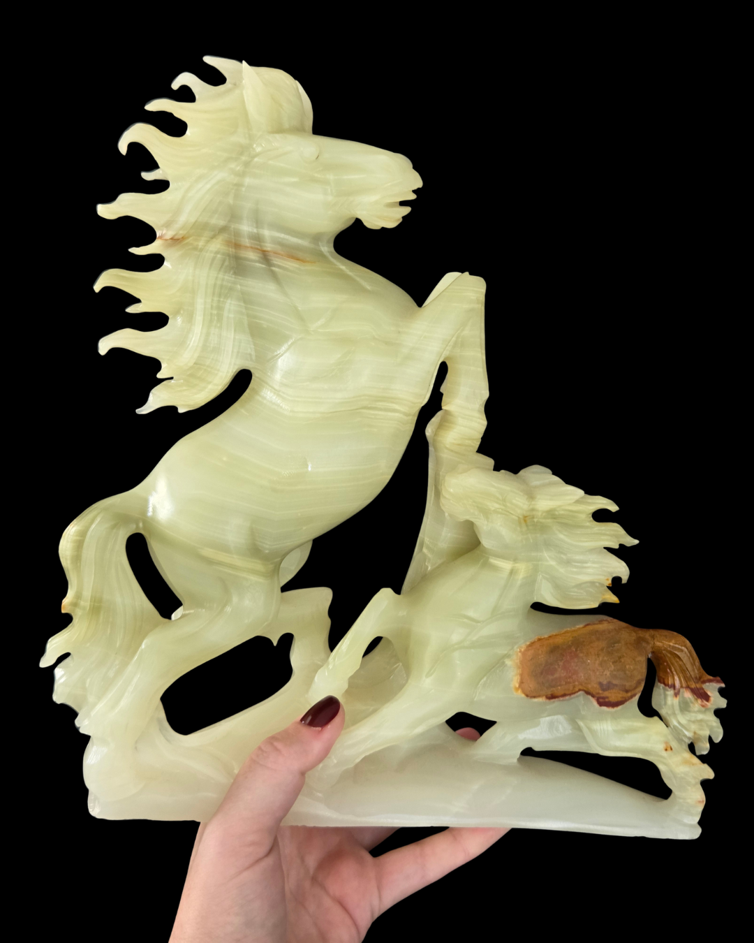Horse - Buddstone