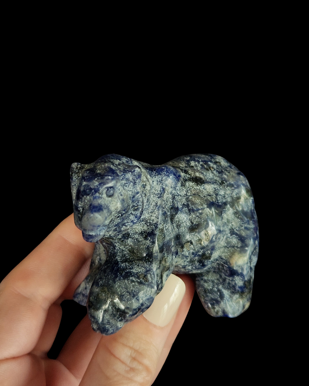 Bear - Sodalite
