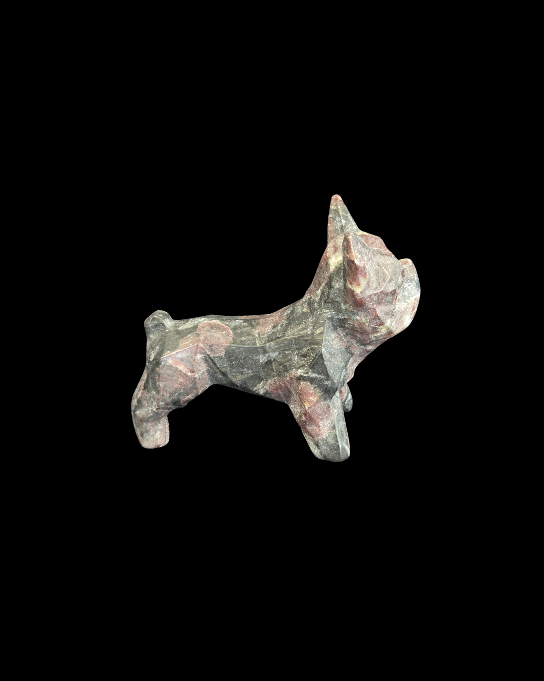 French Bulldog - Garnet