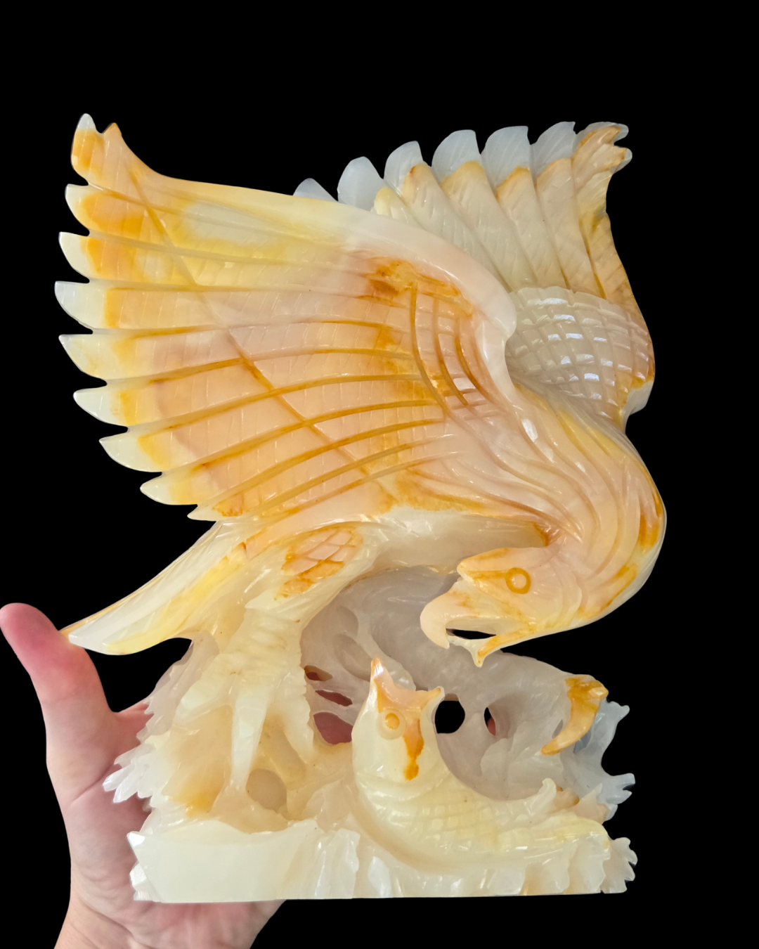 Eagle - Buddstone