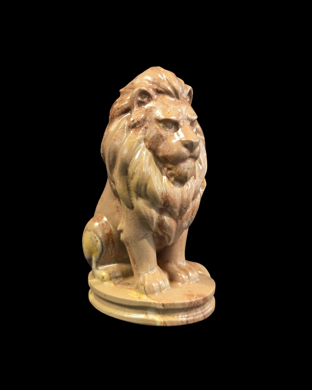 Lion - Picture Jasper