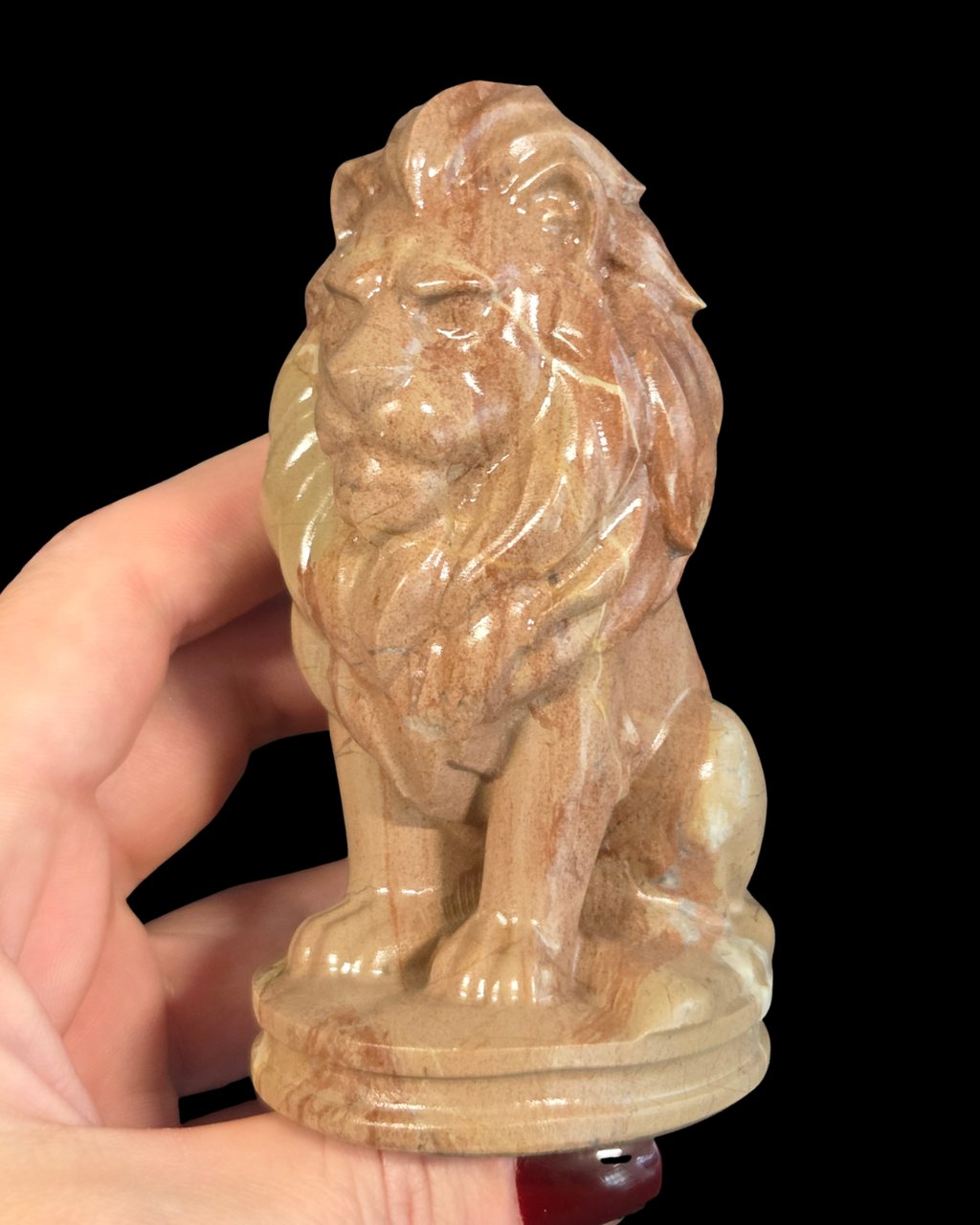 Lion - Picture Jasper