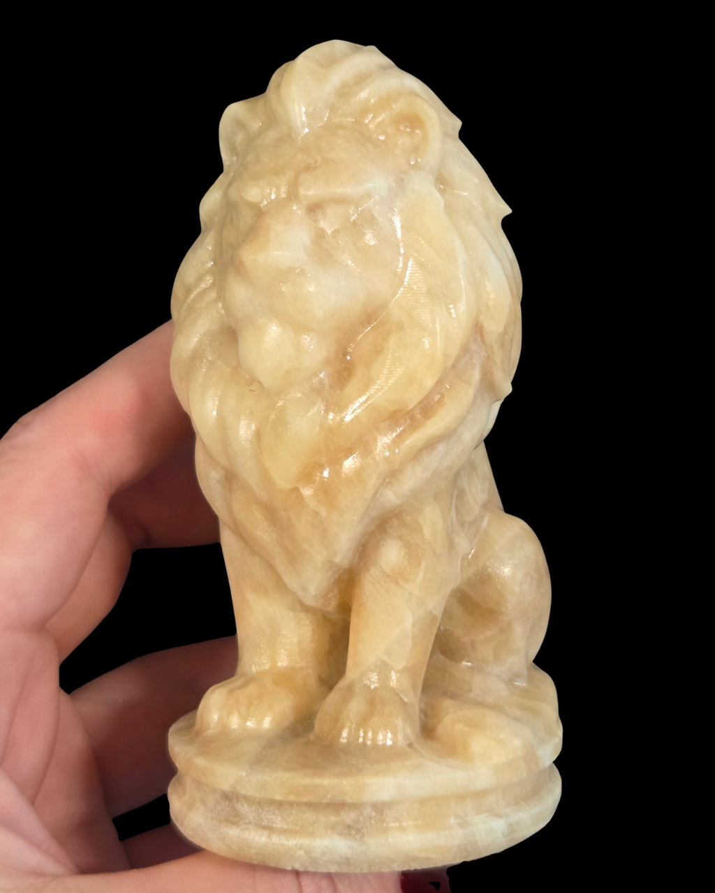 Lion - Calcite