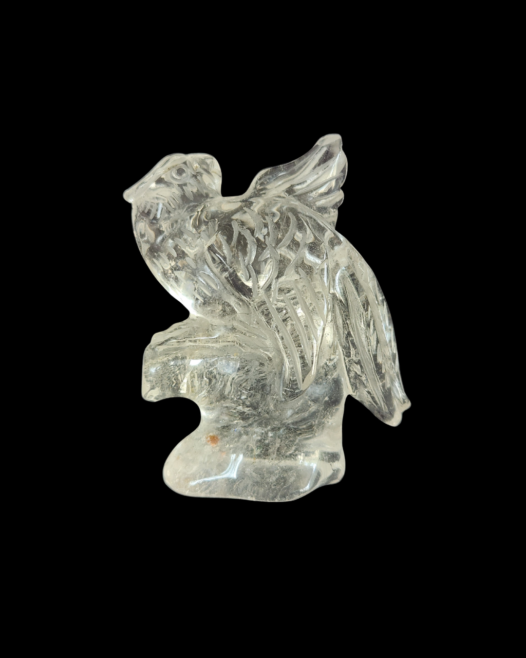 Parrot - Clear Quartz